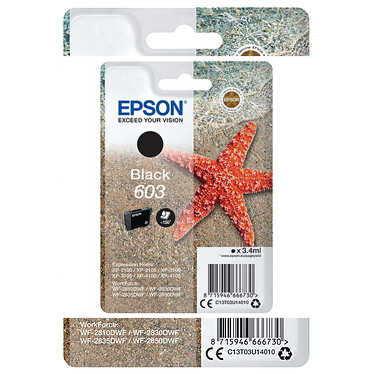 EPSON CAR  JET  603 NOIR 150p. C13T03U14010